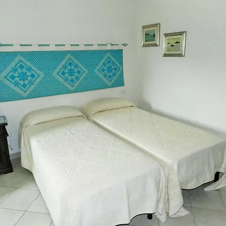 Chicchiritanos Monti