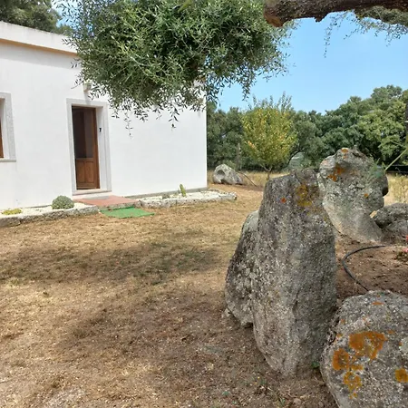 Chicchiritanos Bed & Breakfast Monti