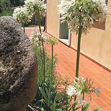 Chicchiritanos Bed & Breakfast Monti