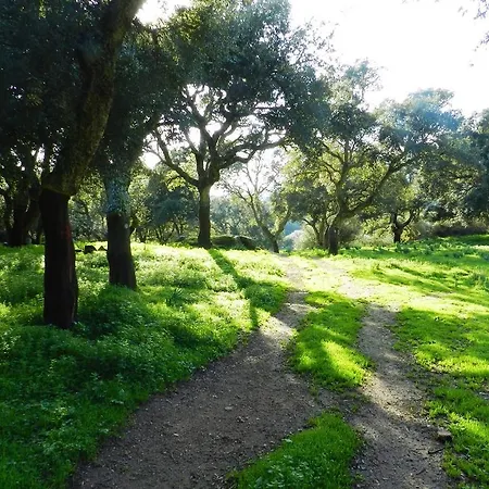 Chicchiritanos 3* Monti