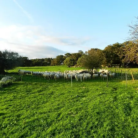 Chicchiritanos Bed & Breakfast Monti
