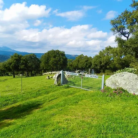 Chicchiritanos Bed & Breakfast