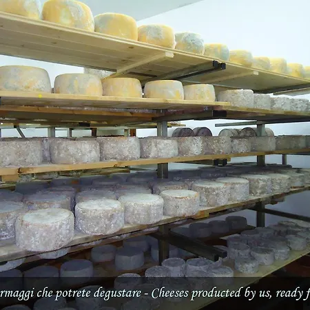 Chicchiritanos Bed & Breakfast Monti