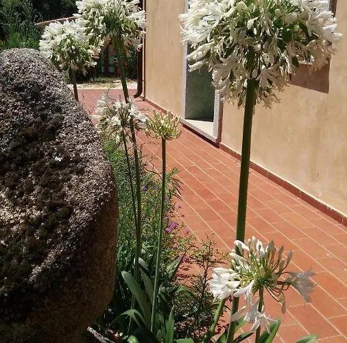 Chicchiritanos Bed & Breakfast