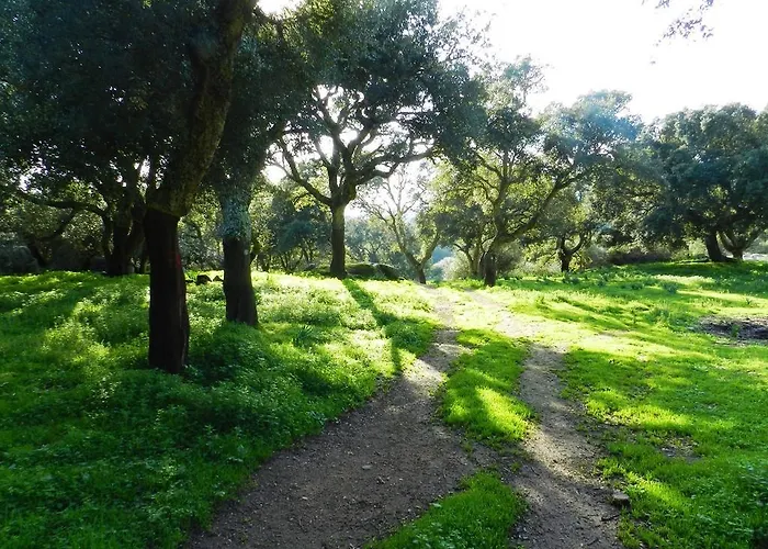 Chicchiritanos 3* Monti