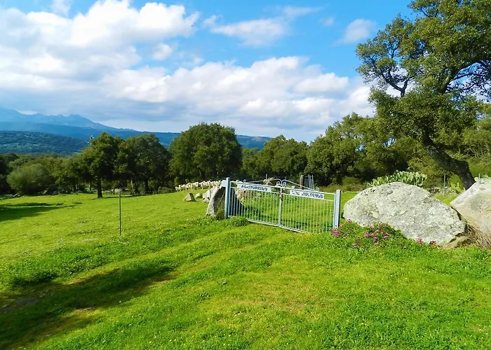 Chicchiritanos Bed & Breakfast