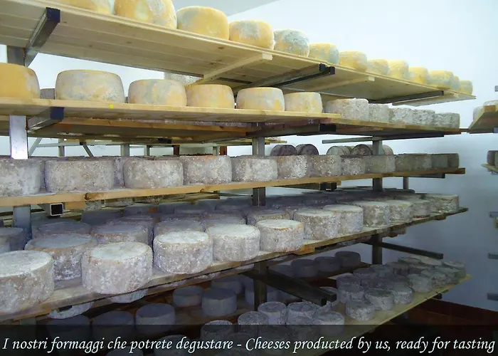 Chicchiritanos Bed & Breakfast Monti